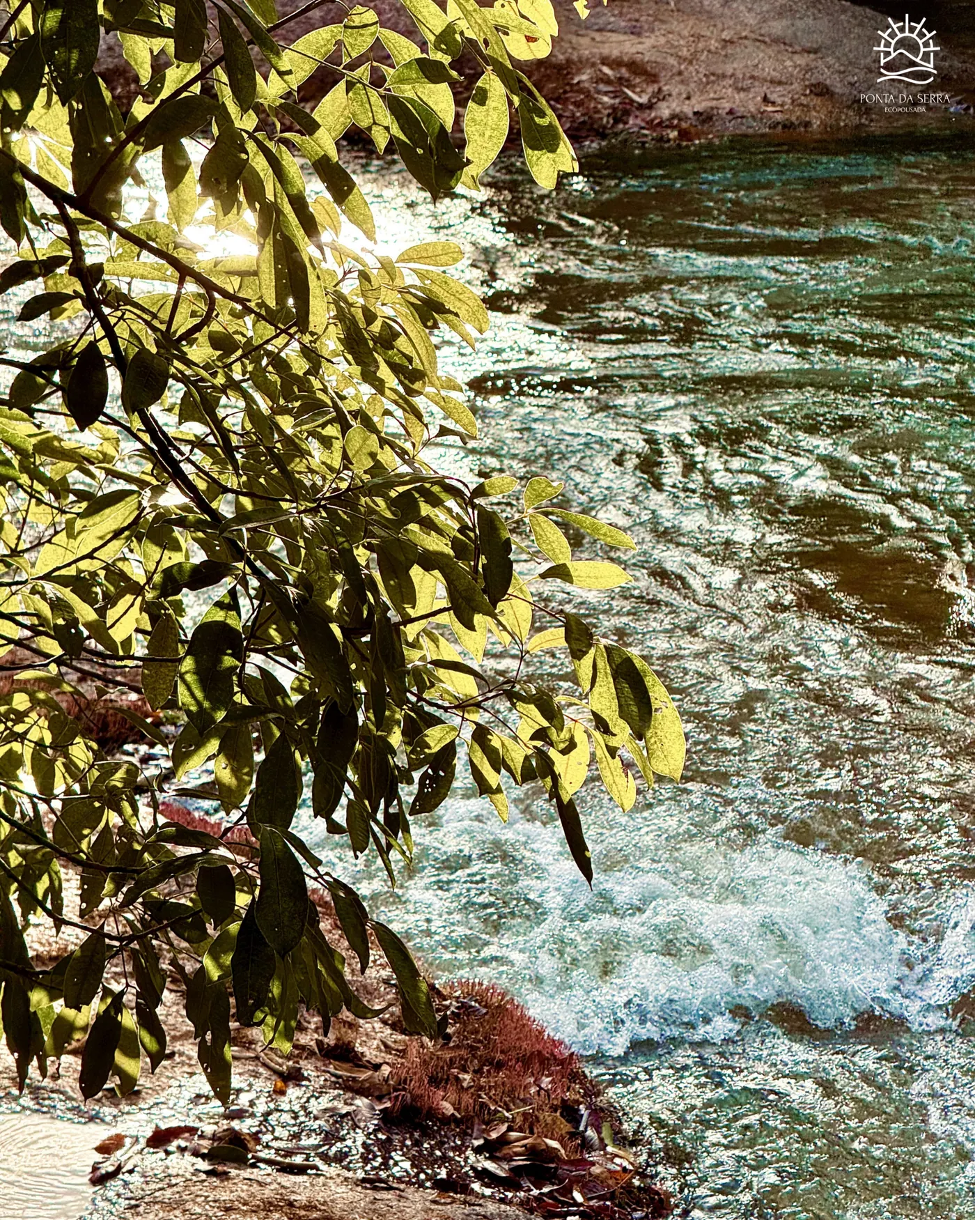 Meio-dia na POUSADA PONTA DA SERRA — detalhe